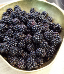 blackberries_bowl